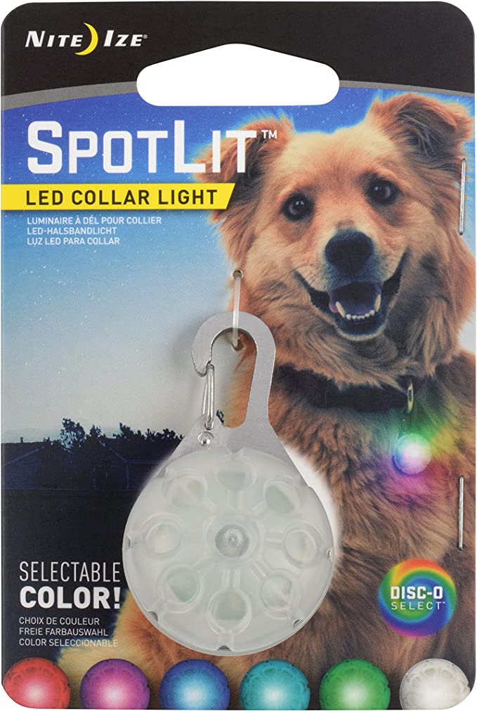 6 Best LED Dog Collars Top Picks & Buying Guide WAF