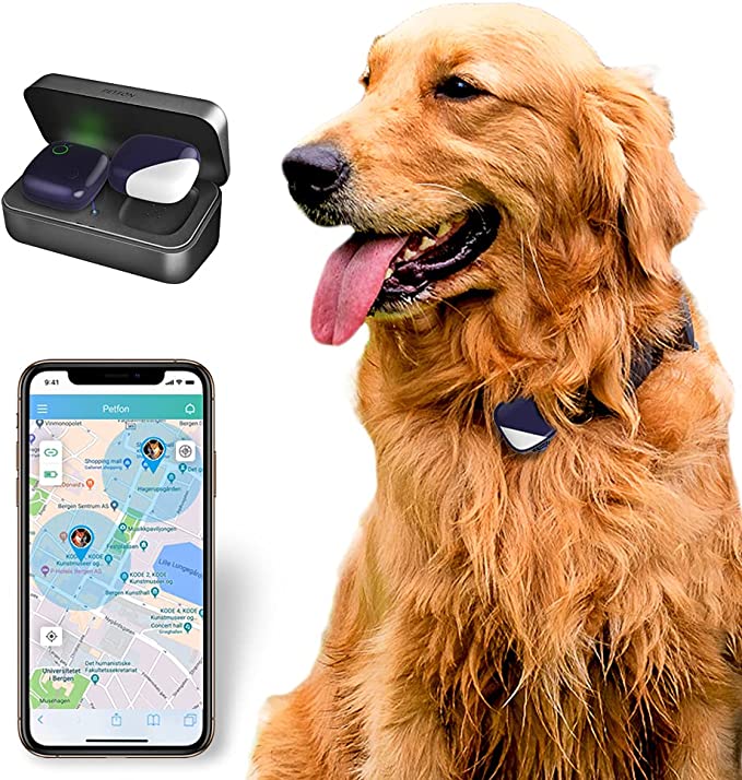 gps for small dogs