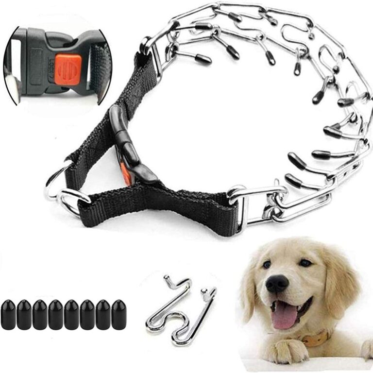 8 Best Prong Dog Collar Top Picks And Buying Guide
