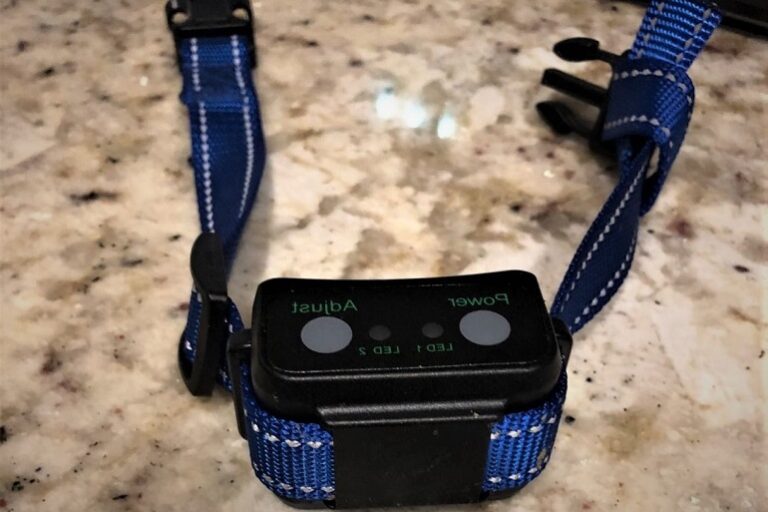 6 Best Citronella Bark Collars Top Picks & Buying Guide