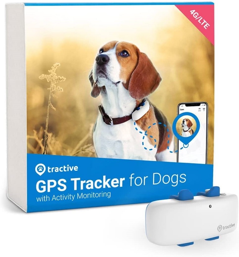 small dog gps