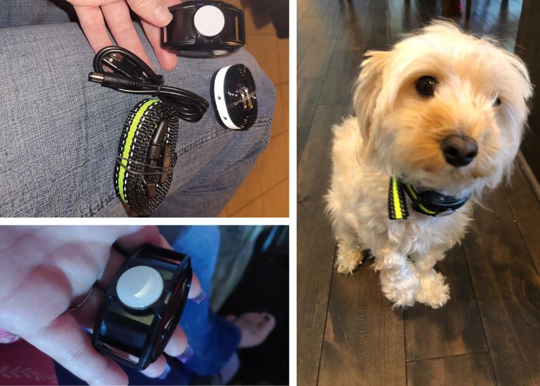 vibrating training collars for dogs