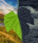 What Cause Extinction