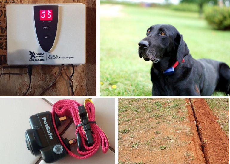 are electric fences good for dogs