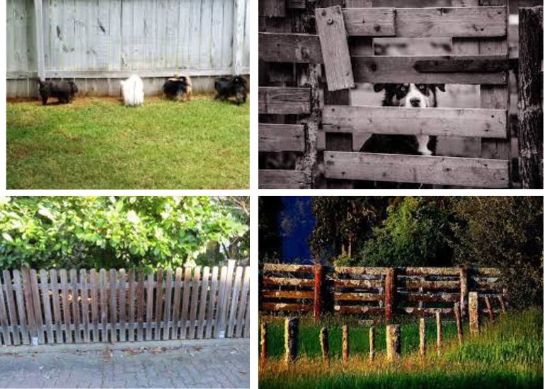 how to keep dog from chewing wood fence