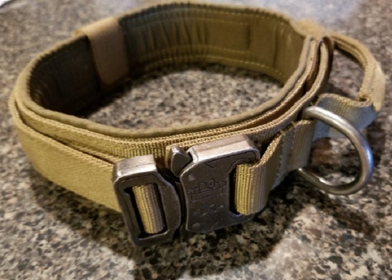 military style dog collars