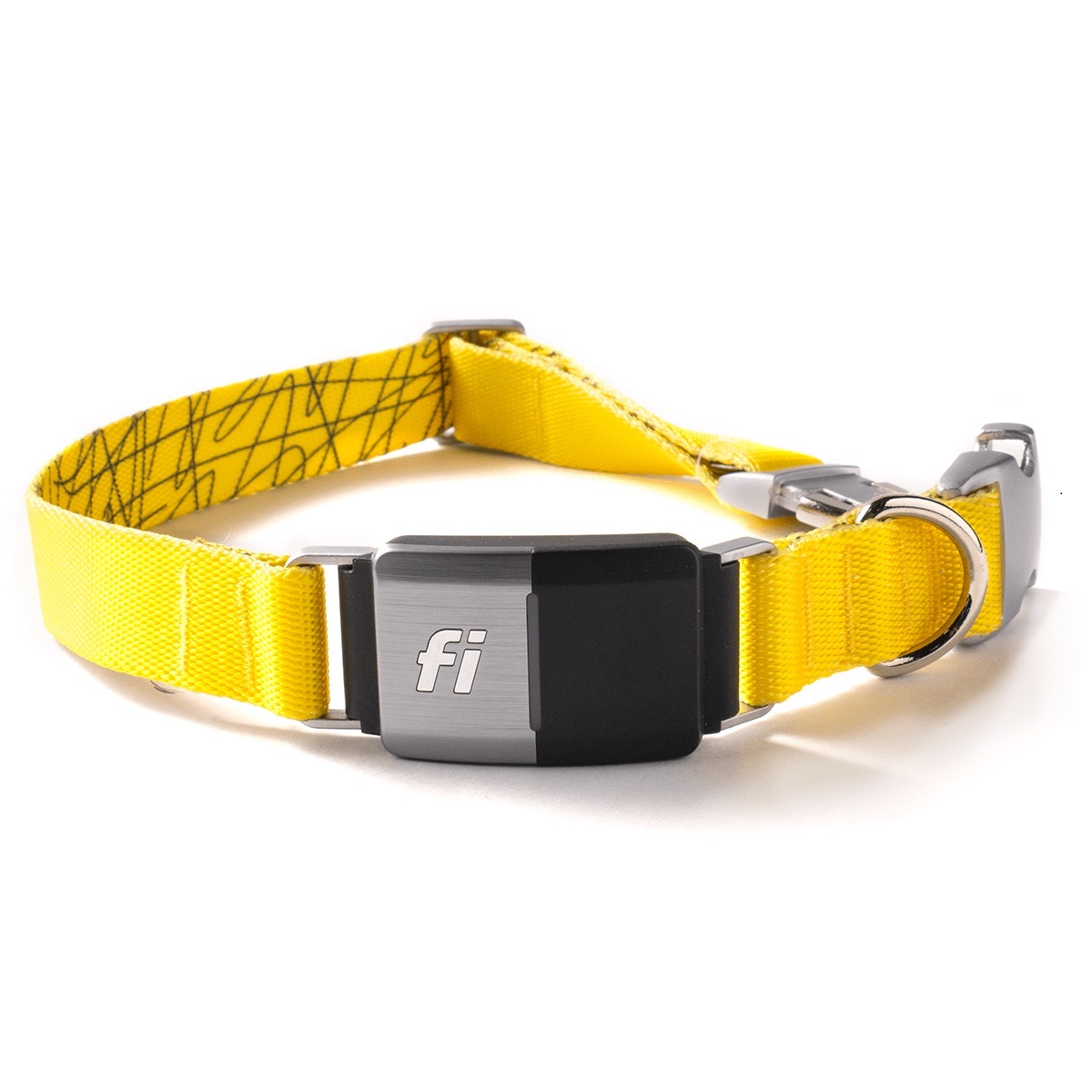 Fi Dog Collar Reviews Your Dog's Virtual Fence