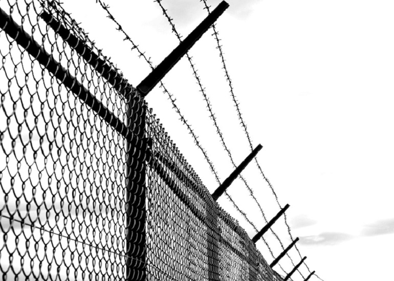 How Do You Keep Your Dog From Jumping The Fence