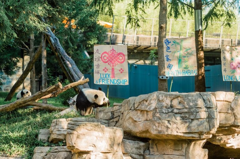 An Overview Of Habitats Definition, Types, Purpose & More