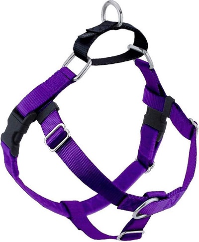 most comfortable dog harness