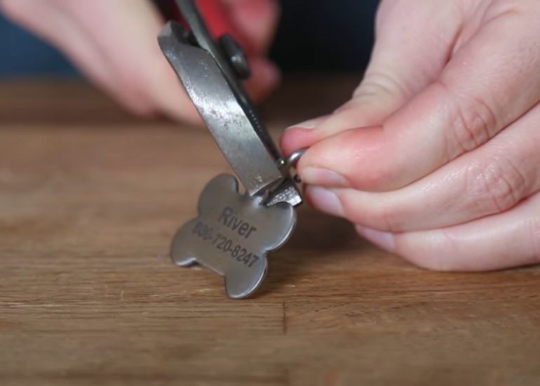 Dog tag attached to clearance collar