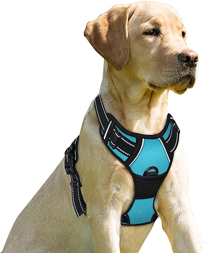 8 Best NoPull Dog Harnesses Top Picks & Buying Guide