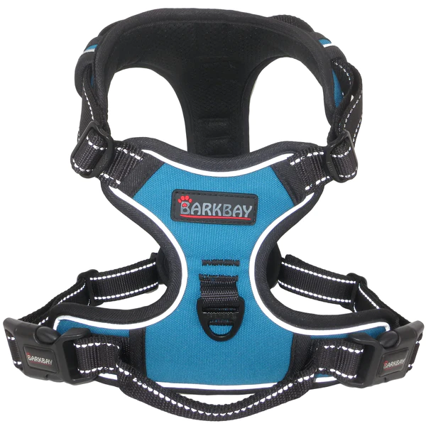 best no pull harness