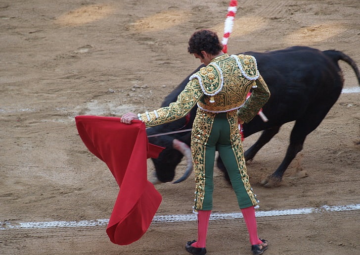 bullfighting is cruel