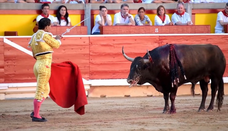 org fighting to end bullfighting crossword