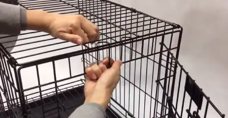 Fold up dog clearance cage