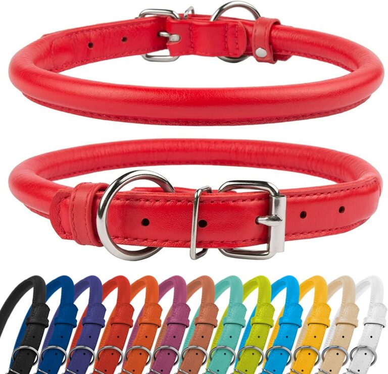 6 Best Rolled Leather Dog Collars In The Market WAF