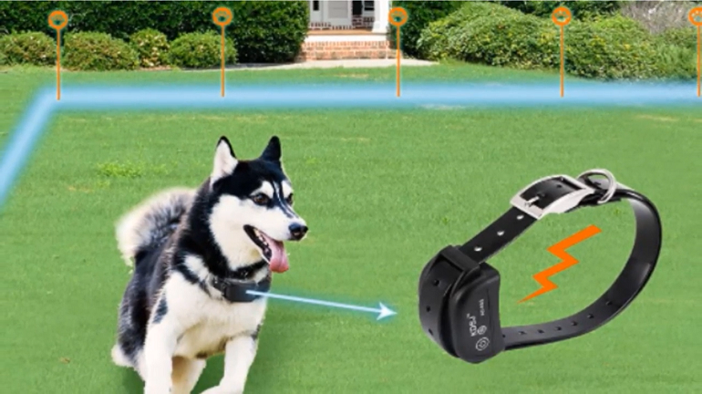 Frequent What is the best electric fence for dogs?