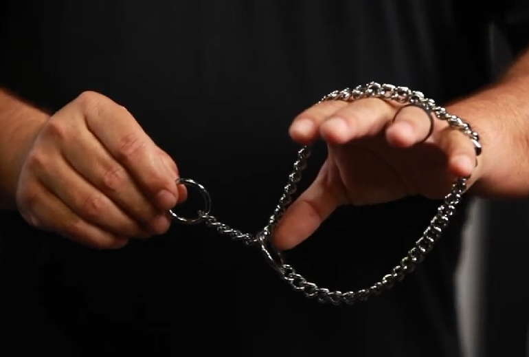 How to put on dog choker chain sale