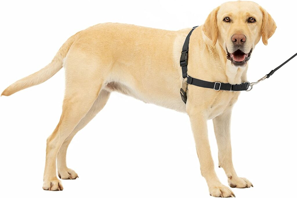 non pull dog harness pets at home