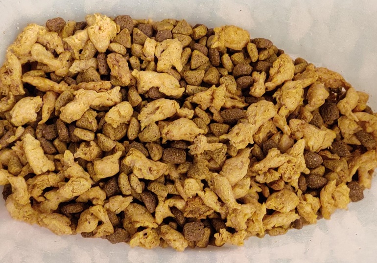 9 Best Soft Dog Food For Senior Dogs Reviewed 2024 WAF