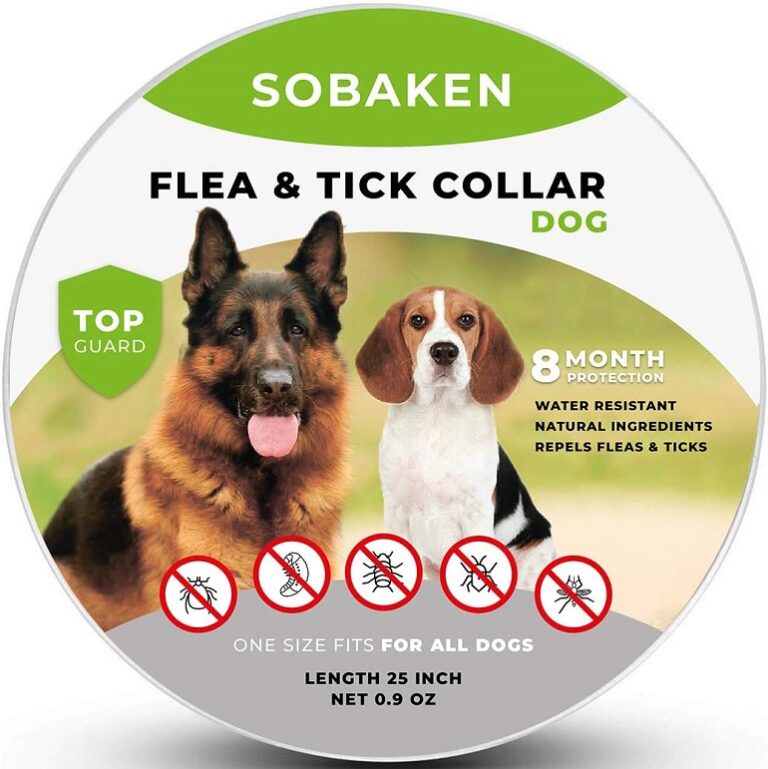 6 Best Flea Collars For Dogs Reviewed WAF