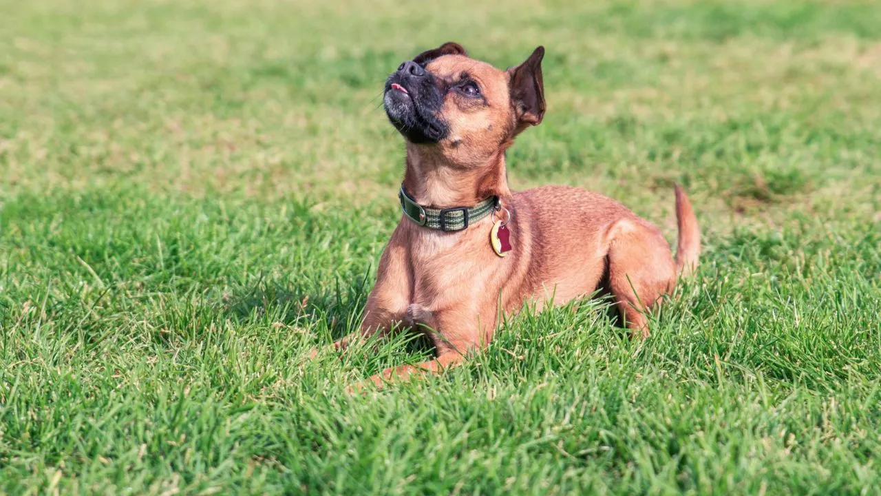 They Have an Incredibly Long Lifespan