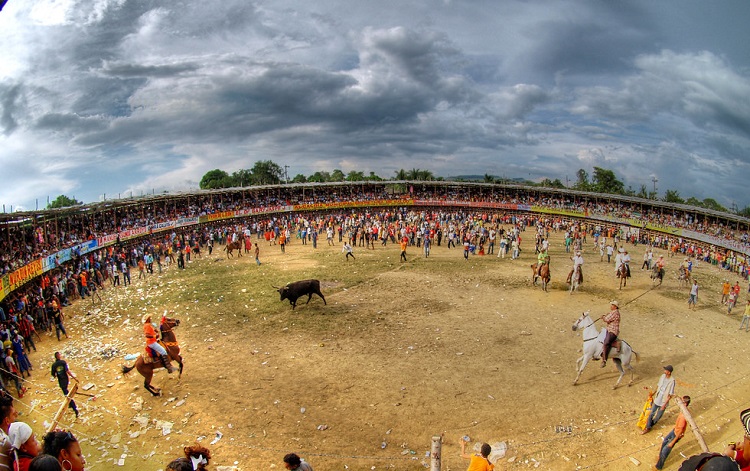 bullfighting cruelty