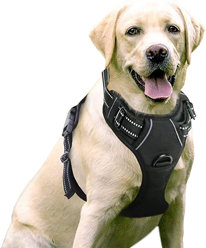 what is a no pull harness for dogs