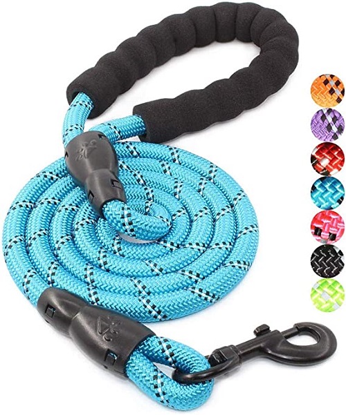 8 Best Chew Proof Dog Leashes 2023 Reviews