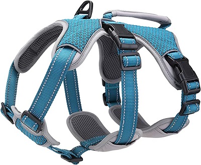 6 Best Escape Proof Dog Harness: Reviews And Buying Guide