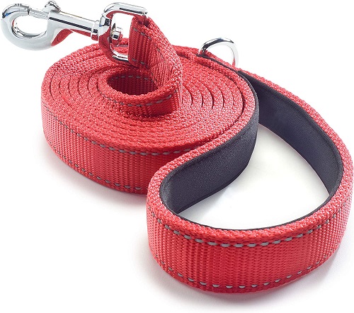 indestructible dog leash