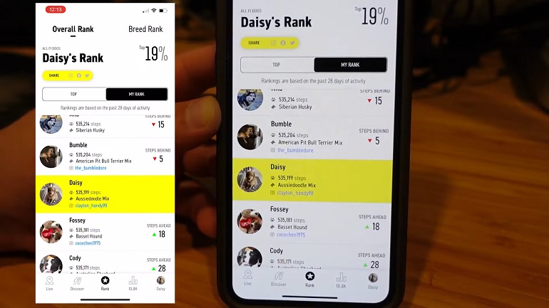fi smart dog collar