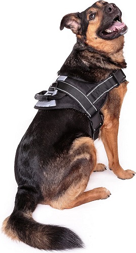 6 Best Dog Harnesses For German Shepherds In 2023