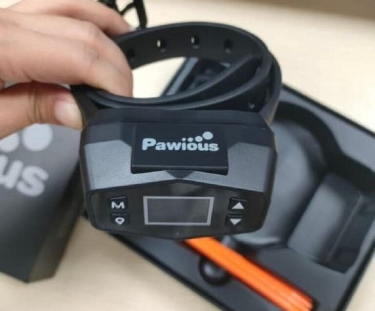 5 Best GPS Dog Fences (Reviews 2022/23)