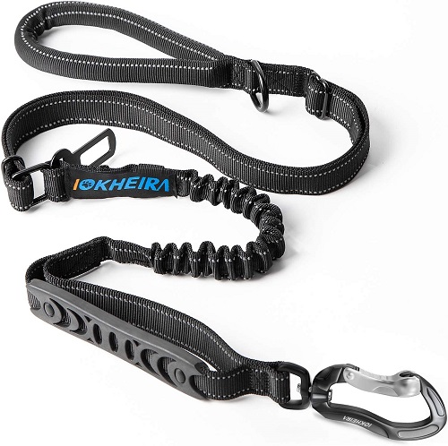 Best leash for 2025 big dogs that pull