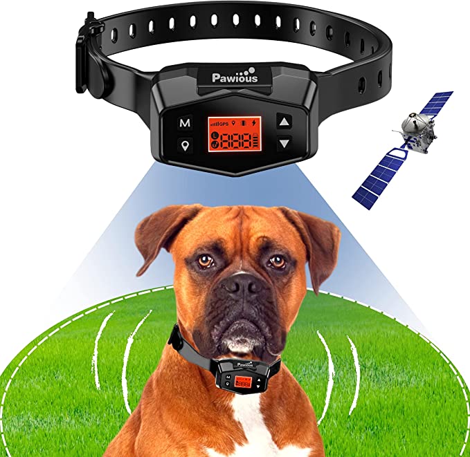 5 Best GPS Dog Fences - (Reviews 2022/23)