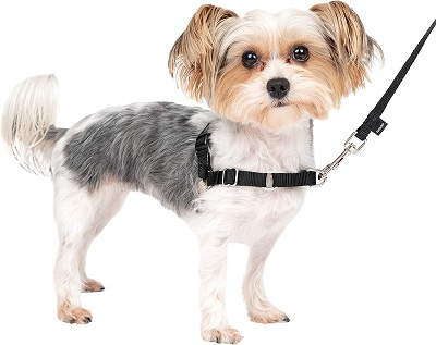 Chewy Classic Designer Harness For Dogs