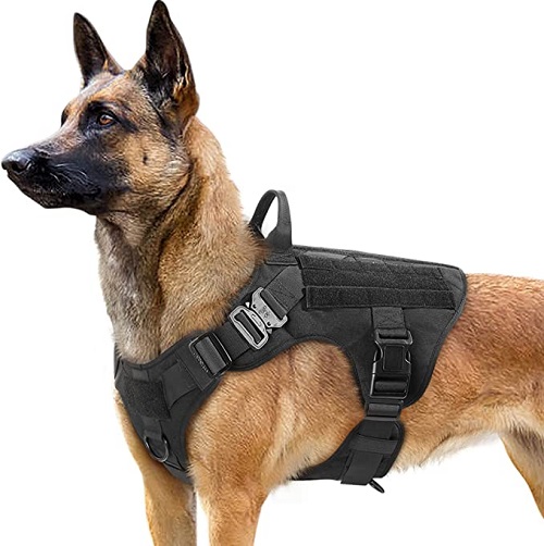 6 Best Tactical Harnesses For Dogs - (Buying Guide)