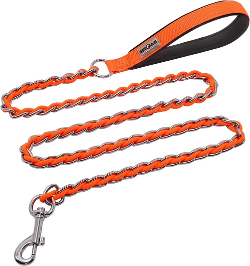 8 Best Chew Proof Dog Leashes [2023 Reviews]