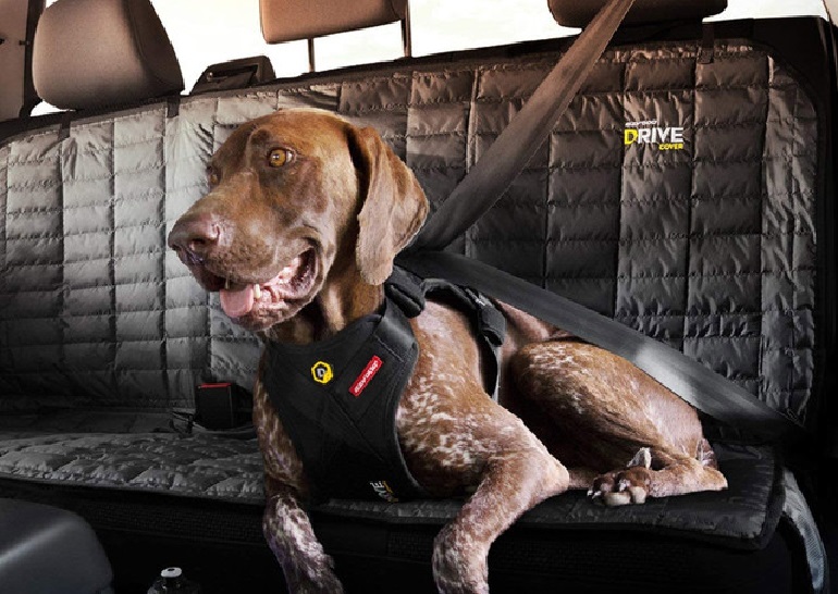 Best car safety shop harness for dogs