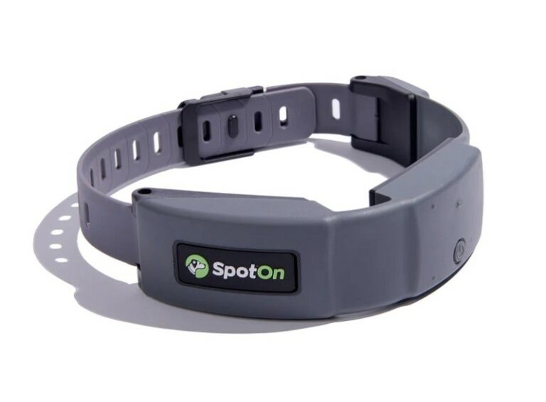 5 Best GPS Dog Fences Reviews 2024 For Your Active Pooch!