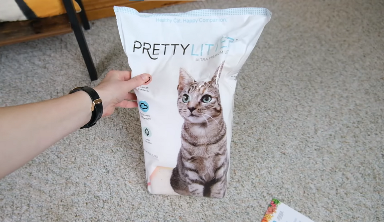 Companion cat hotsell litter review