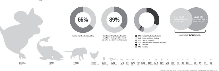 how do they test on animals