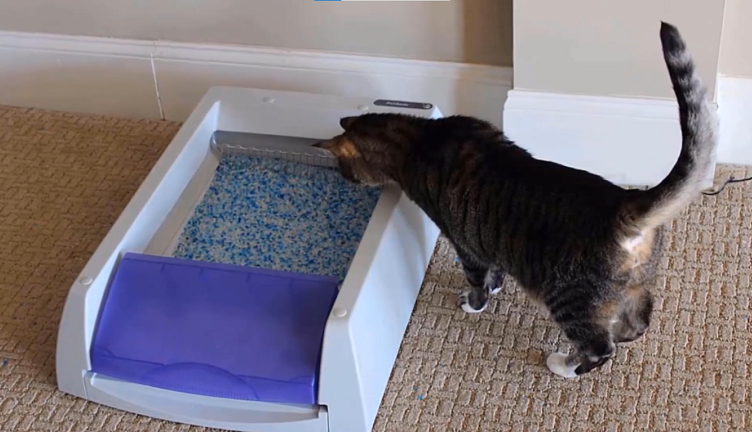 Easy way to outlet clean cat litter box