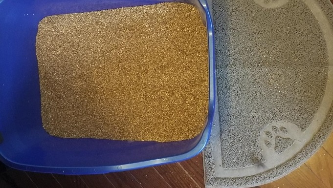 cat litter biodegradable