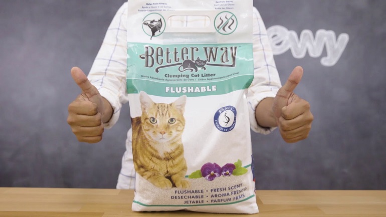 Best flushable cat litter sales