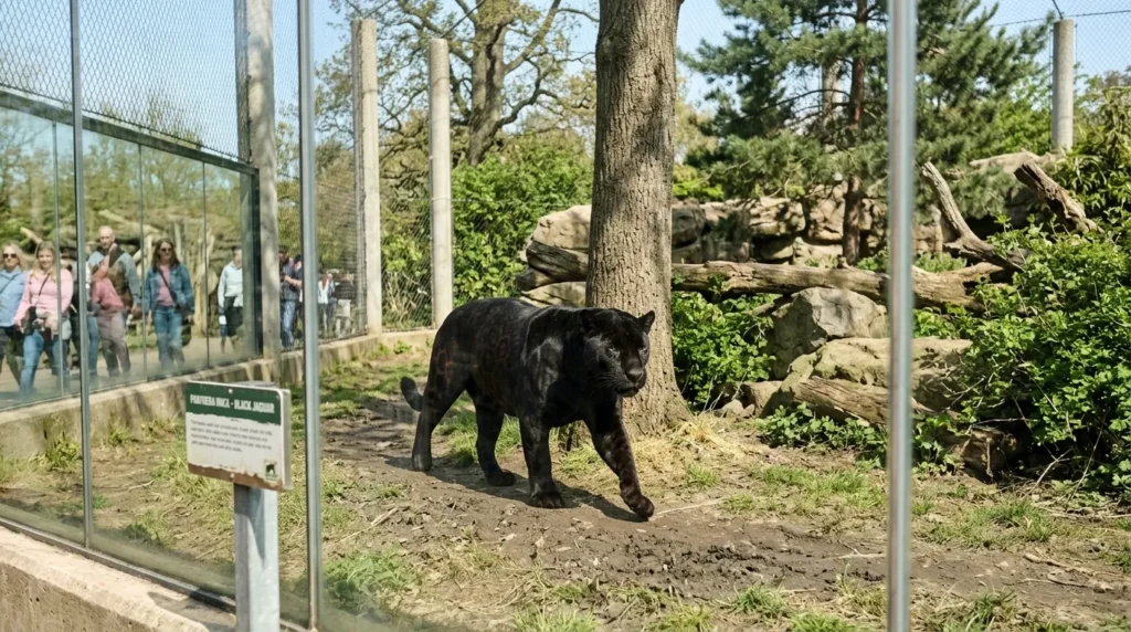 Behavior and Lifestyle