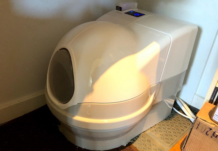 robot cat litter box