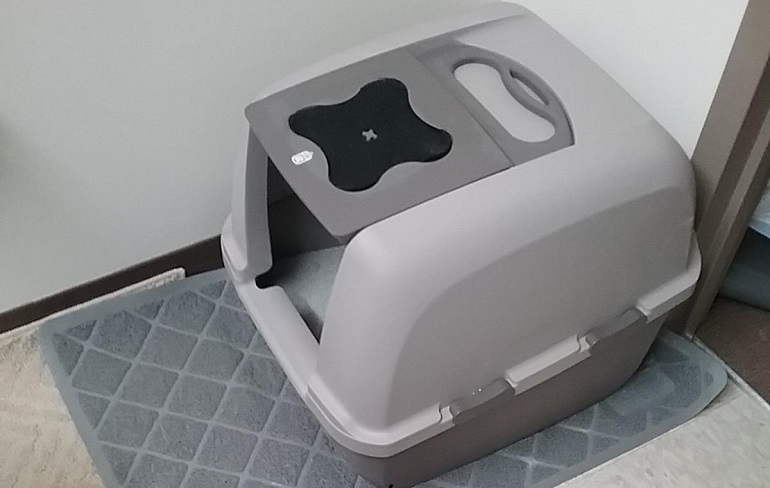 cat litter boxes